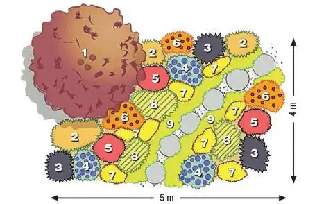План посадки сильных тонов в многолетнем бордюре