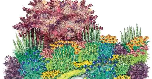 Для пересадки: сильные тона в многолетней грядке