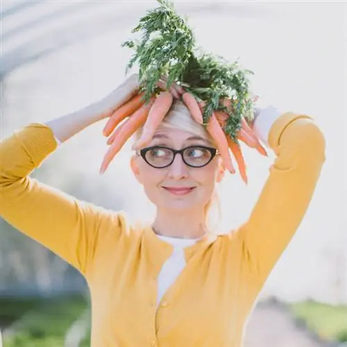 Сильвия Жерве