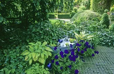 Мини-пруд в тени