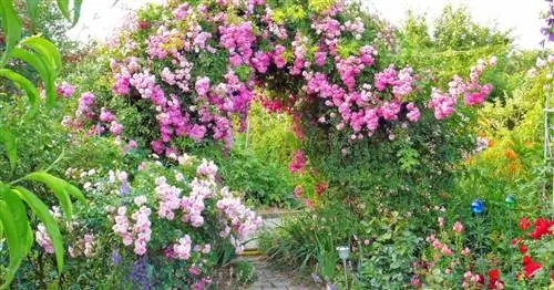 Оформление арок и проходов в саду