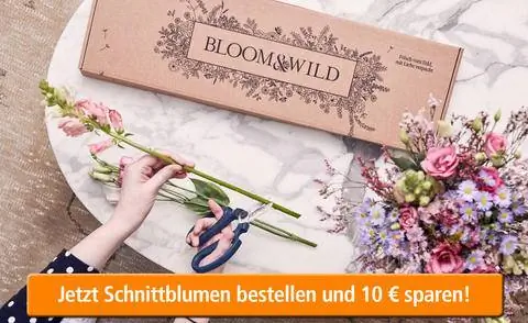 Интернет-почтовая рассылка цветов Bloom & Wild