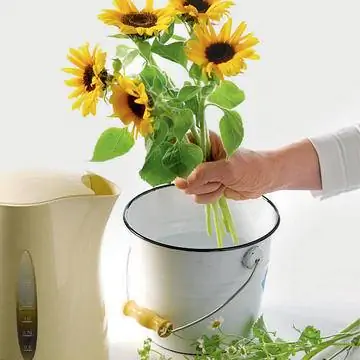 Горячая водяная баня для подсолнухов