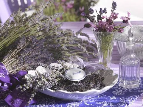 букет лаванды