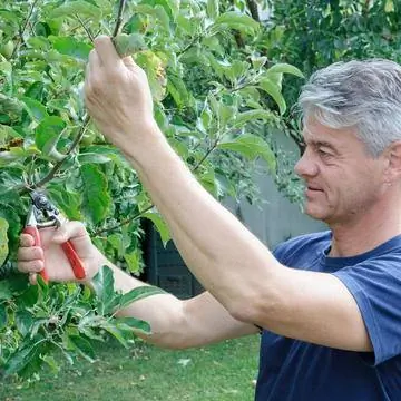 Вырезать стрелять
