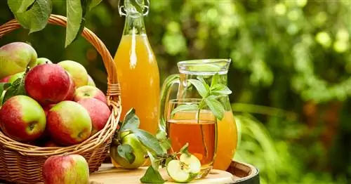 Приготовьте яблочный сок самостоятельно: как это работает