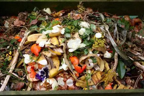 Цедра мандарина и другие кухонные отходы в компосте