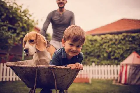 Садоводство с родственниками