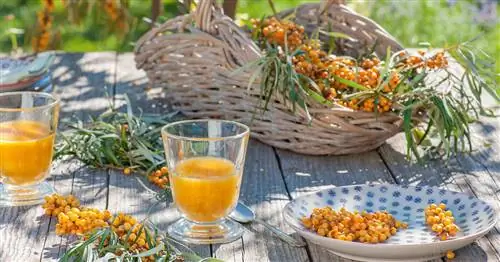 5 отличных рецептов с дикими фруктами