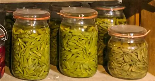 Вот так из фасоли делают кислые маринованные бобы