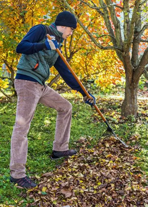 Удобно в поле: веерная щетка для сгребания листьев