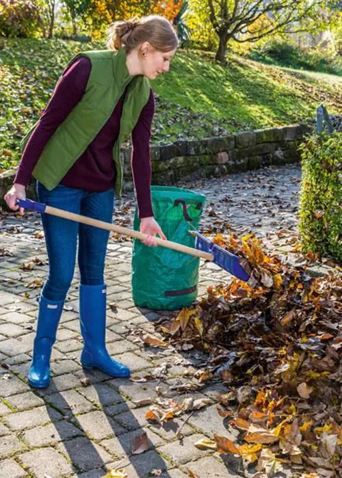 Удалите осенние листья лопатой для снега