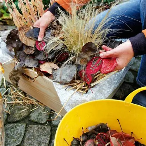 Зимняя защита осенними листьями