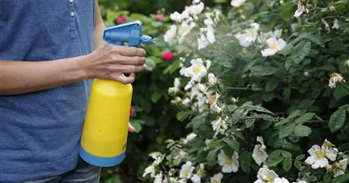 Крупнейшие проблемы нашего сообщества с вредителями