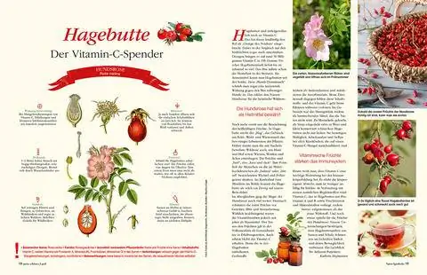 Чтение пробы шиповника NaturApotheke