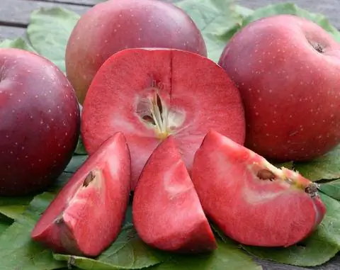 Сорт яблок 'Бая Мариса'