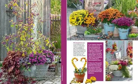 Чтение примеров идей посадки