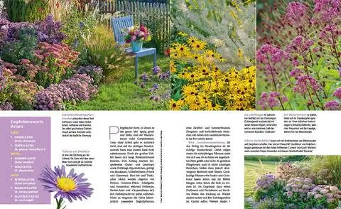 Отрывок окончания сезона на многолетней клумбе