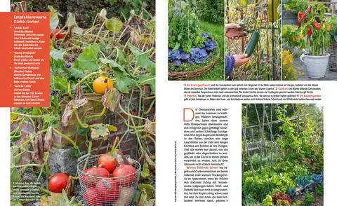 Отрывок из поздних овощей