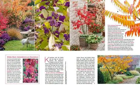 Выдержка: Теперь это становится красочным!