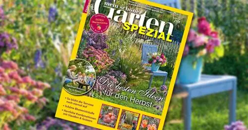 МОЙ КРАСИВЫЙ САД Специальное предложение – «Лучшие идеи на осень»