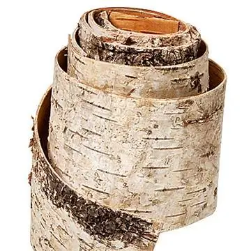 Кора березы