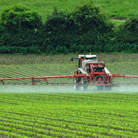 использование инсектицидов