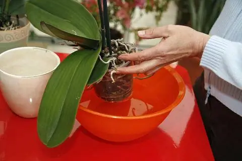 погружная ванна