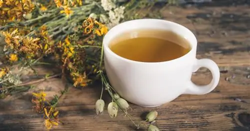 Хорошее настроение из чашки