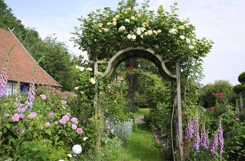 Романтический сад