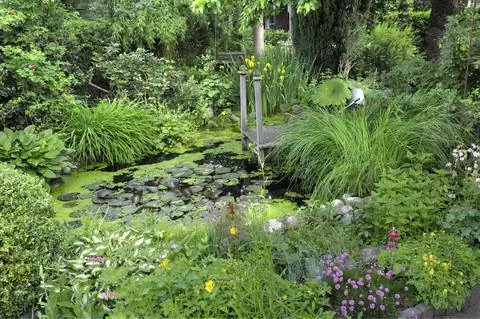 пруд в саду