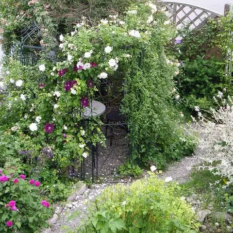 Скрытая беседка