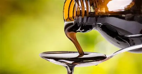 Приготовьте сироп от кашля: бабушкино домашнее средство от кашля