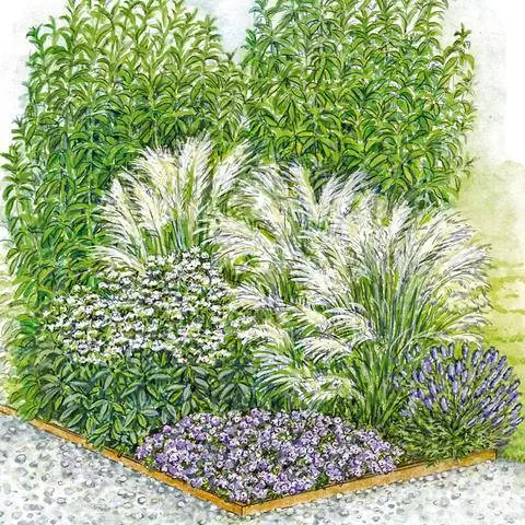 Многолетний бордюр из кортеновской стали