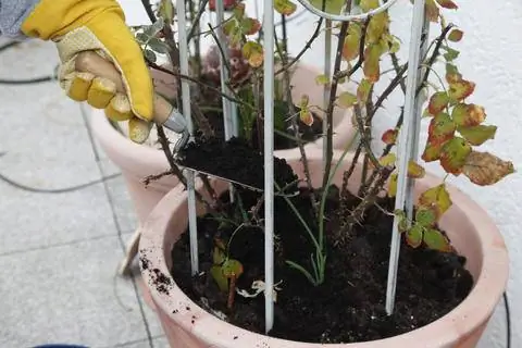 накапливать компост