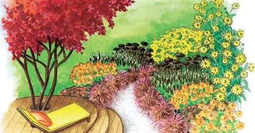 Для пересадки: формальный и дикий одновременно