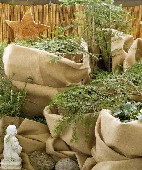 Растения в морозостойкой упаковке