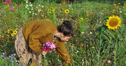 Как создать природный сад