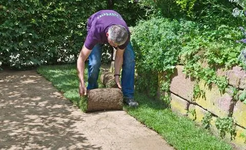 Уложить газон