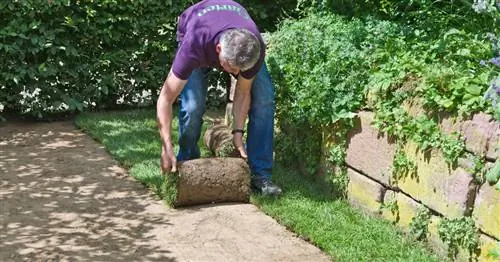 Как вычесть садоводство из налогов