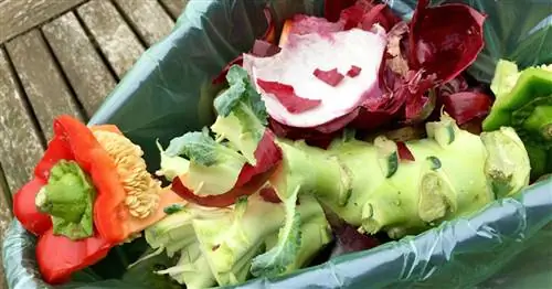 Мешки для мусора из компостируемого пластика: Хуже своей репутации
