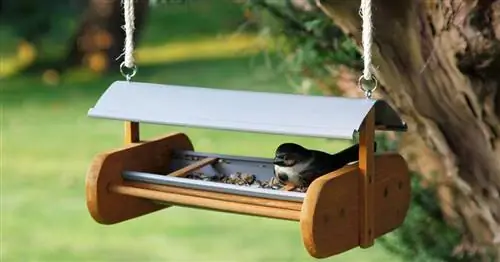 Просто постройте домик для птиц самостоятельно