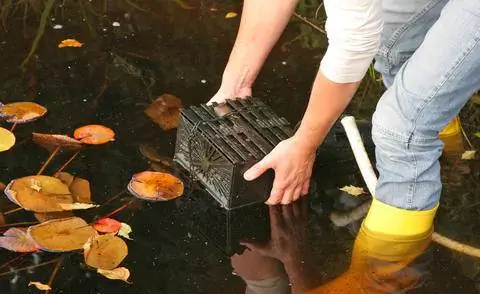 Выньте насос для пруда из воды для зимнего хранения.