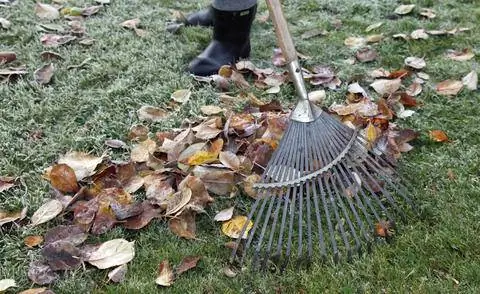 Грабли уходят с газона