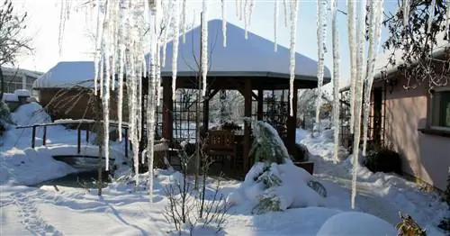 Контрольный список: как подготовить сад к зиме