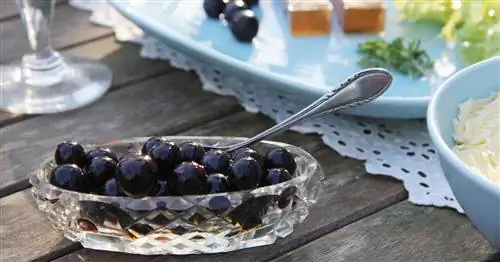 Оливки Eifel: терн в средиземноморском стиле