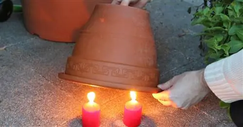 Гениально просто: обогрев глиняного горшка в качестве защиты от мороза для теплицы