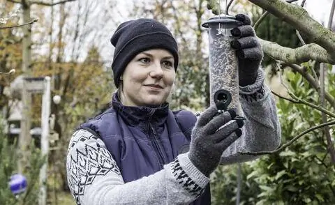 Повесьте кормушку