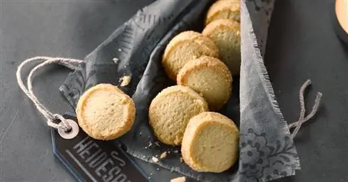 Быстрое рождественское печенье