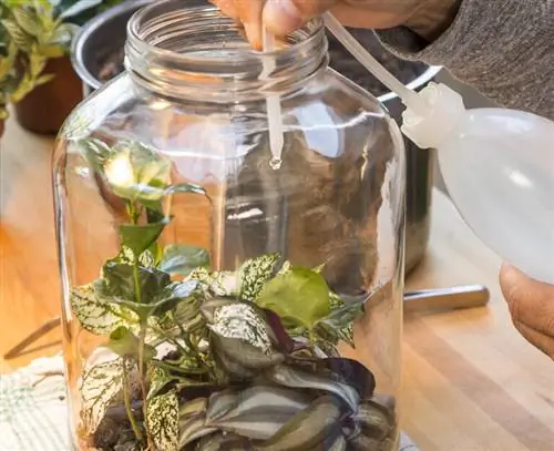 Аккуратно полейте сад из бутылок